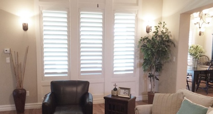 Raleigh living room white shutters